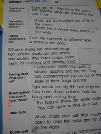 This text was laminated and completed as a whole class activity.