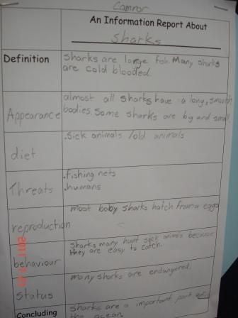 A student wrote the most important information from a text on sharks into the graphic organiser.