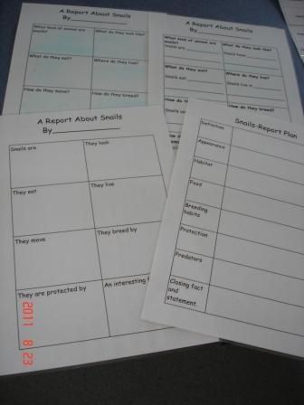Four different levels of graphic organisers to allow all students to access the task.