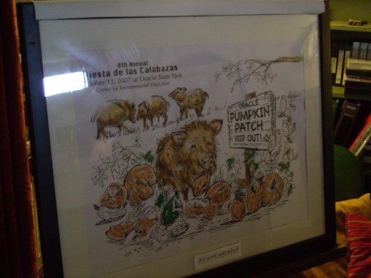 Javelinas frolicking in a Pumpkin Patch