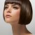 Short Bob Short Bob