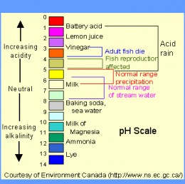 Household Acids & Bases  hubpages