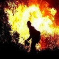 Black Saturday - Victorian Bushfires