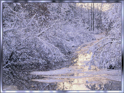 Winter Wonder