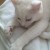 Dozing. Dozing.