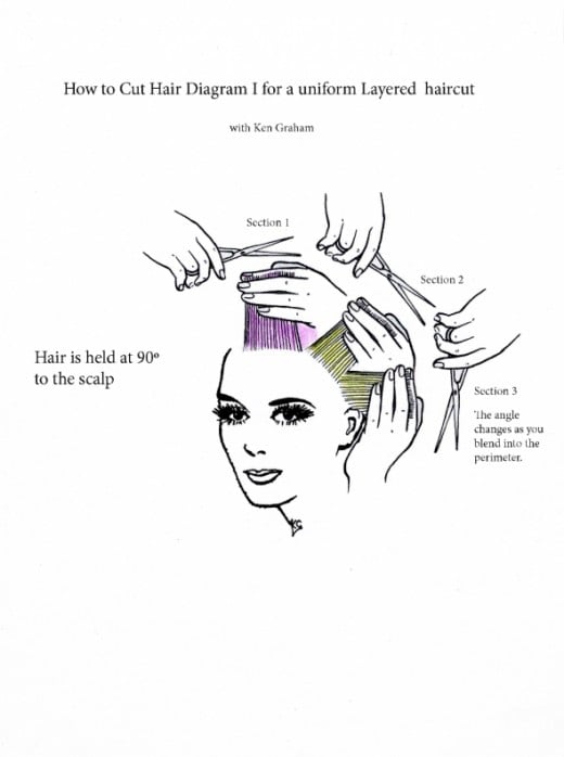 layered haircut diagram