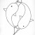 Narwhals Narwhals