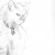Cat Cat