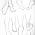 Sketches of feet Sketches of feet