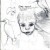 Little Egrets and Boy Little Egrets and Boy