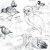 Barn Owl, Canada Goose, Loggerhead Turtle, Turnstone and Gull Barn Owl, Canada Goose, Loggerhead Turtle, Turnstone and Gull