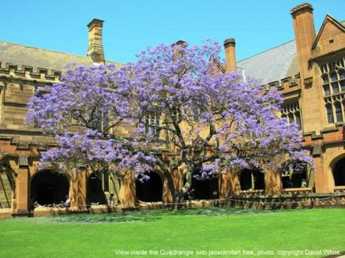 The class rooms from inside the Quadrangle