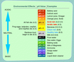 pH scale with common substances
