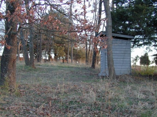 Outhouse near Goshen, Arkansas.
