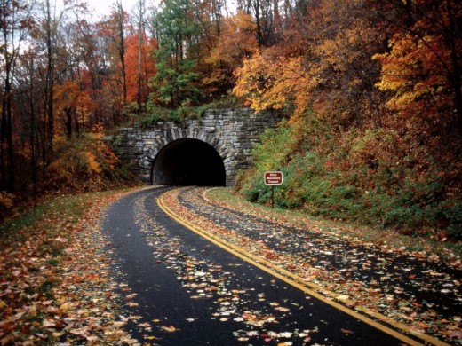 Smoky Mountains pic