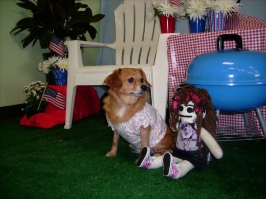 Posing with Dolly at a 4th of July photo shoot at a local puppy store. (I was giving Dolly pointers on how to look super cute.)