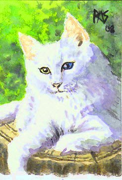 Norwegian Forest Cat by Robert A. Sloan, watercolor.