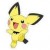 Pichu Pichu