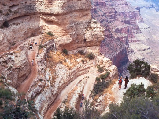 walking Trails in Grand Canyon pic