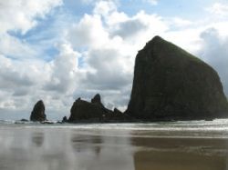 A picture I took at Cannon Beach