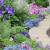 Curved Border Curved Border