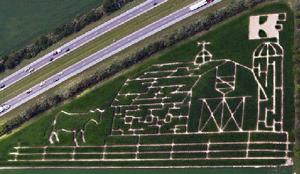 Kelsay Farms 2008 Corn Maze