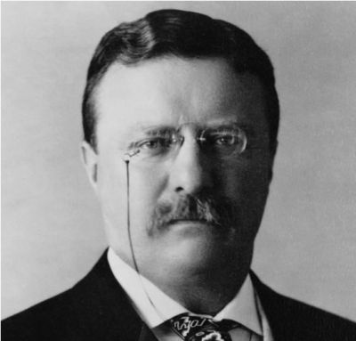 #26 Theodore Roosevelt: None