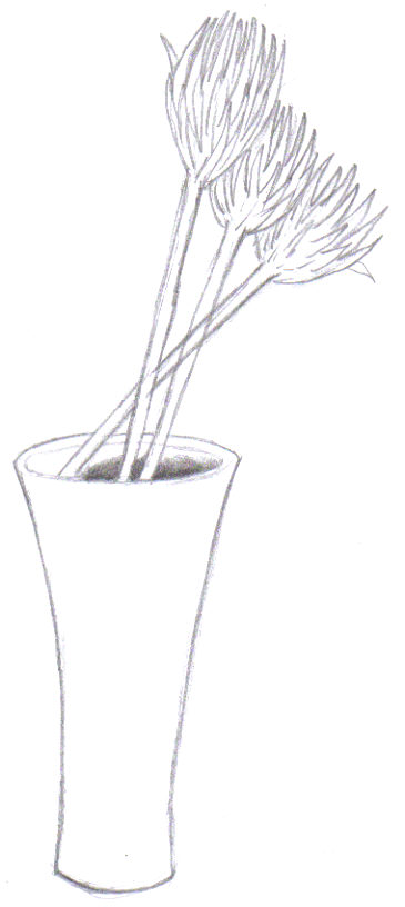 The drawing of the vase with the dried flowers.
