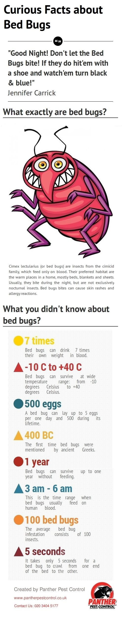 Bed Bugs Infopraphic