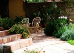 My Top 10 Herbs for Container Gardens