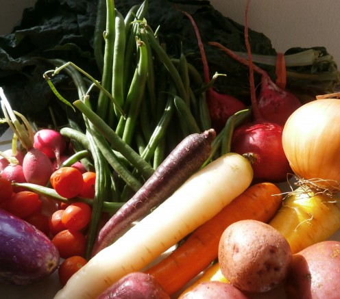 CSA farm share vegetables