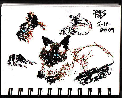 Fast gesture drawings of my cat Ari, done in oil pastels on sketchbook paper while he was changing pose. Robert A. Sloan.