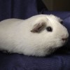 Arthur45 LM profile image