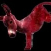 jepok profile image