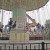 Swings! Swings!