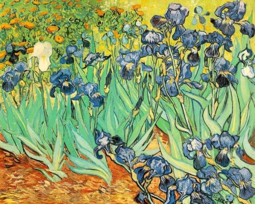 The famous Iris paintings of Vincent Van Gogh