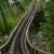 Boulder Dash's wooden track fits neatly in the natural wooded environment.
