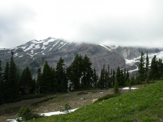 Summer Activities in Mt. Rainier