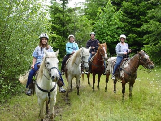 Horseback Riding in Mt Rainier