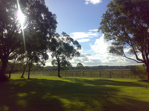Winery by DiverSluck in Flickr