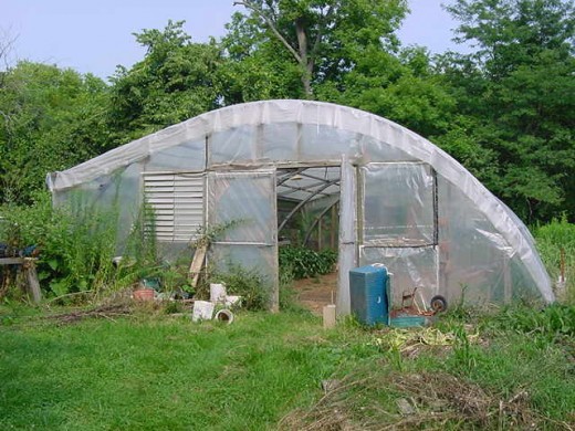 Greenhouse