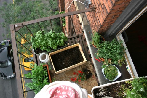 A tiny NYC patio container vegetable garden.