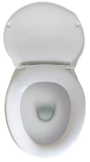 toilet cleaning tips