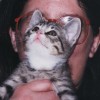 AbbyWrites profile image