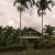 Your Healing Oasis in Hilo, Hawaii