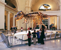 Children's museum