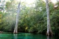Ponce de Leon Springs, the Fountain of Eternal Youth? The Surrounding World Just Might Be!