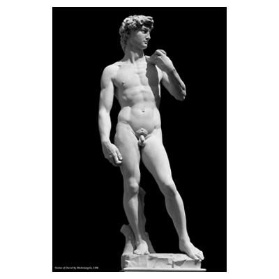 Sculpted by Michelangelo Bounarroti in 1504.