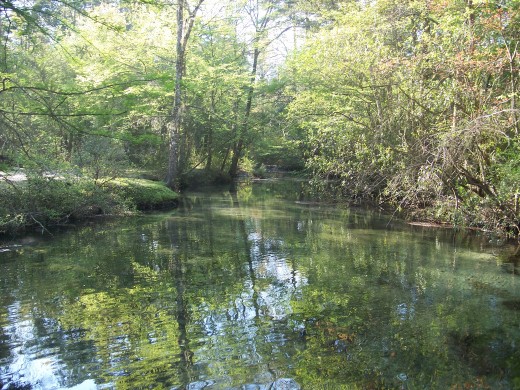 Ponce De Leon Springs flowing into Sandy Creek.      credit:  Florida State Tourism Guide