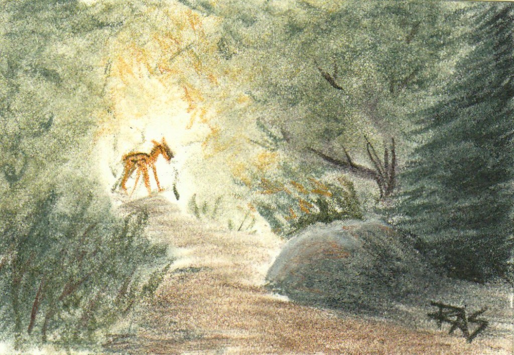 Sketching Light in Derwent Tinted Charcoal Pencils HubPages